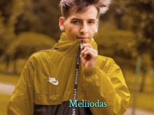 Meliiodas