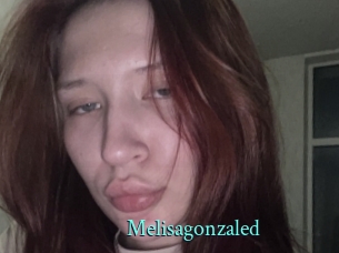 Melisagonzaled