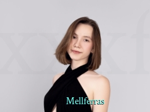 Mellferras