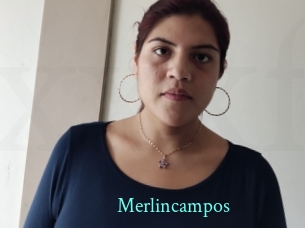 merlincampos xxx Fantasy Land