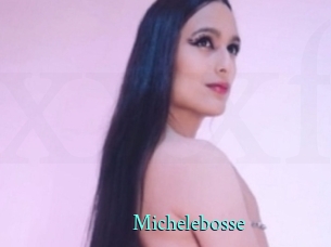 Michelebosse