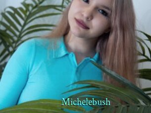 Michelebush