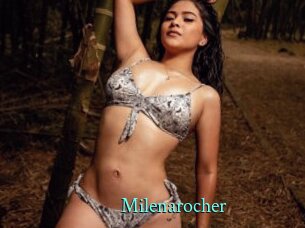milenarocher xxx Fantasy Land