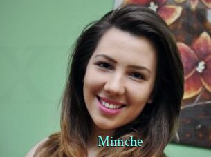 Mimche
