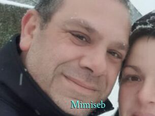 Mimiseb