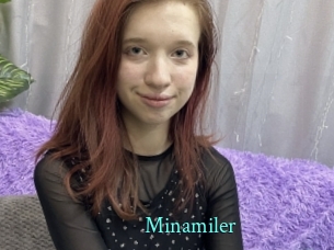 Minamiler