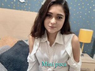 Mini_puca