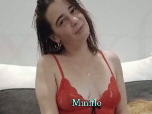 Miniflo