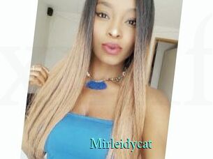 Mirleidycat