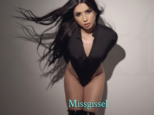 Missgissel