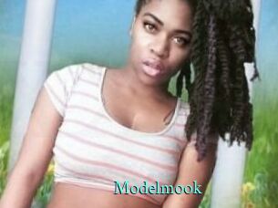 Modelmook