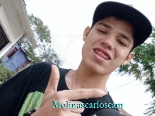 Molinascarloscam