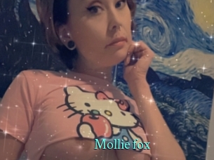 Mollie_fox