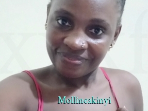Mollineakinyi