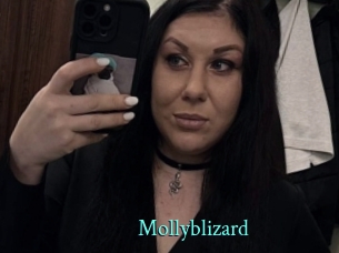 Mollyblizard