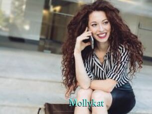 Mollykat