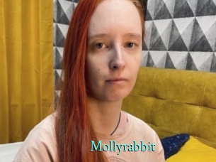 Mollyrabbit