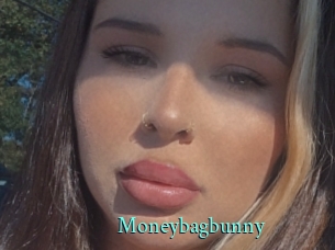 Moneybagbunny