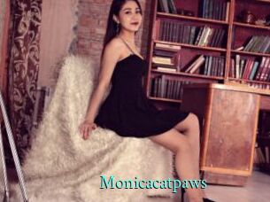 Monicacatpaws