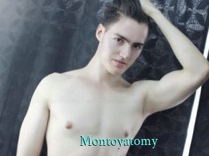 Montoyatomy
