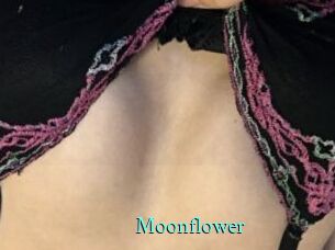 Moonflower