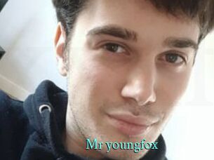 Mr_youngfox
