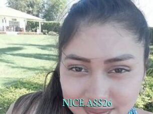 NICE_ASS26