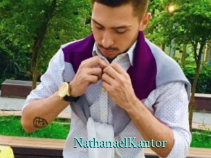 NathanaelKantor xxx Fantasy Land