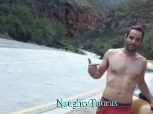 NaughtyTaurus xxx Fantasy Land