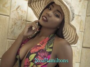 NoaHamiltons