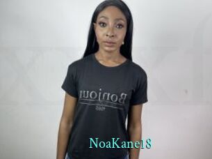 NoaKane18