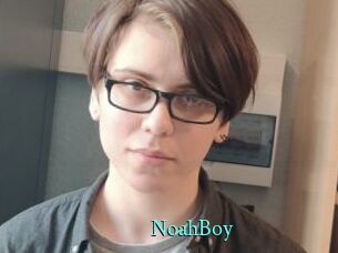 NoahBoy