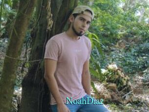 NoahDiaz xxx Fantasy Land