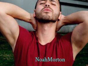NoahMorton