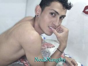 NoahNaugthy xxx Fantasy Land