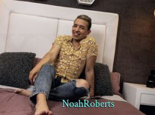 NoahRoberts