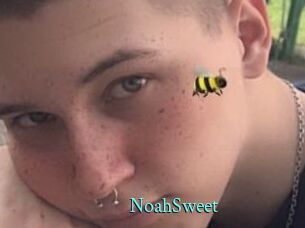 NoahSweet