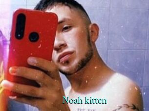 Noah_kitten