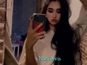 Namilevis
