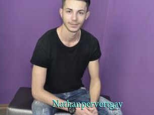 Nathanpervertgay