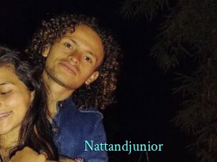Nattandjunior