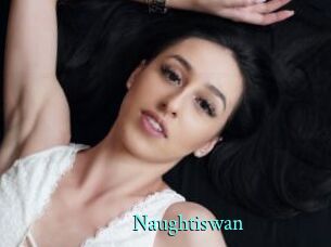 Naughtiswan