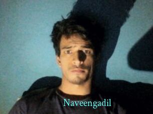 Naveengadil