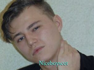 Niceboyscot