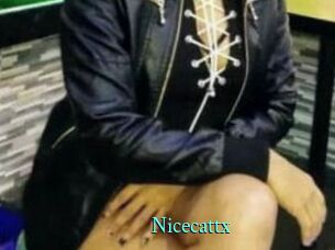 Nicecattx