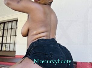 Nicecurvybooty