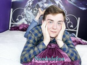 Nicedudefinn