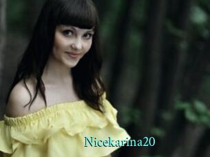 Nicekarina20