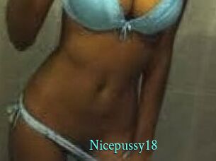 Nicepussy18