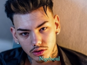 Nigelsoul
